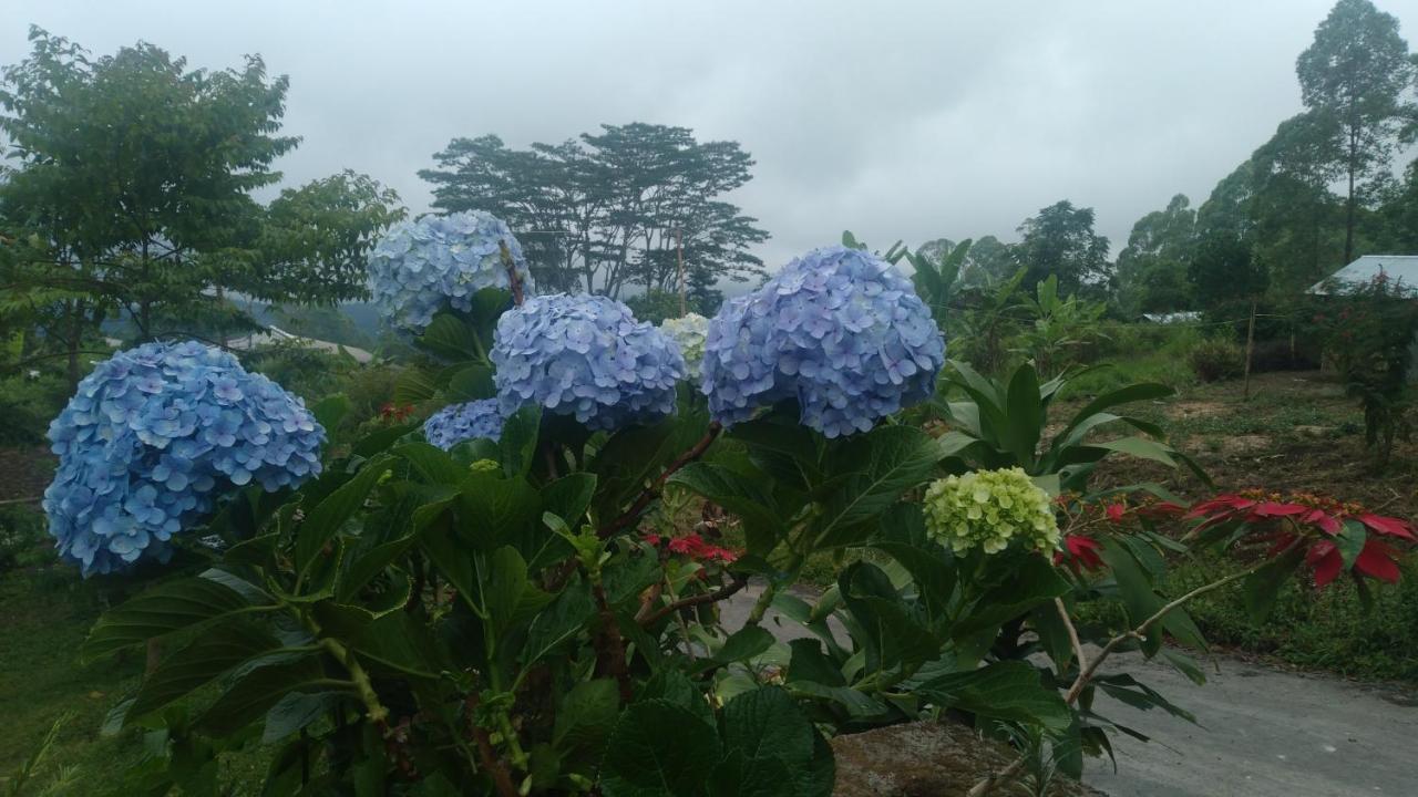 Karleta Homestay รูเติง ภายนอก รูปภาพ