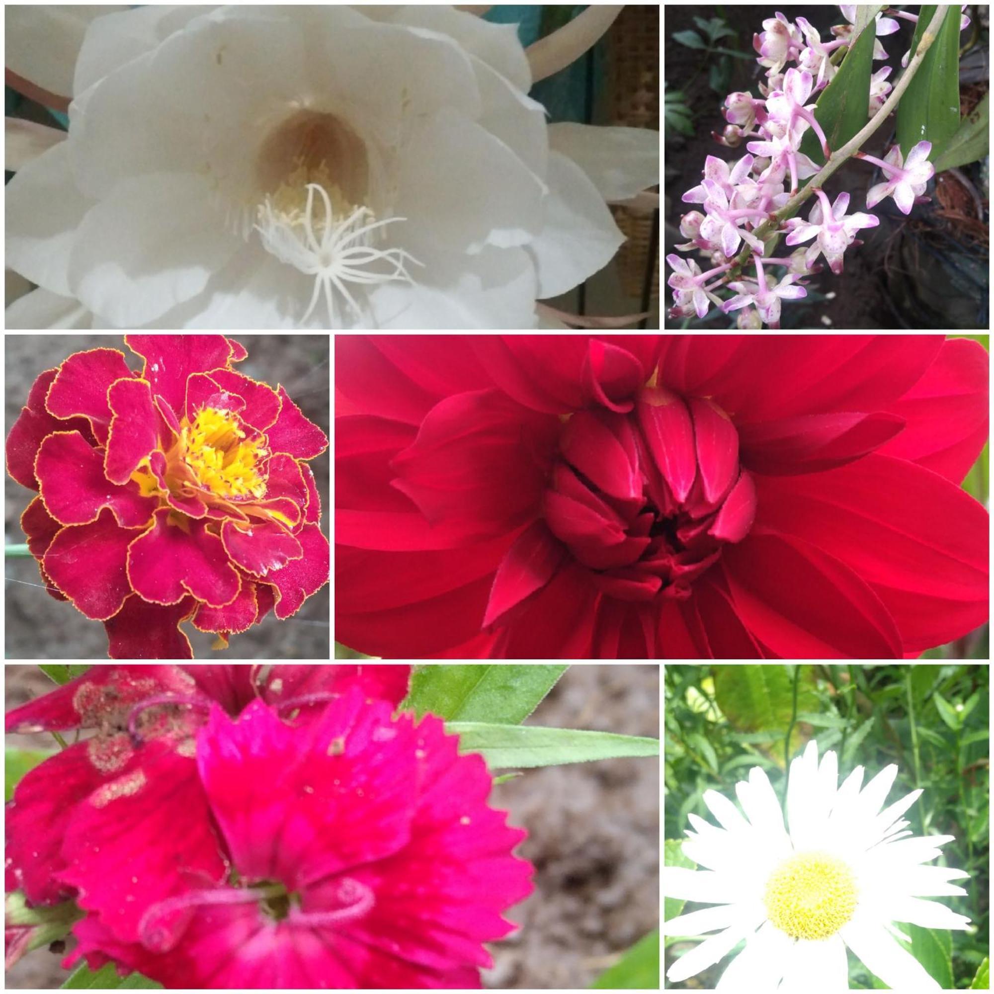 Karleta Homestay รูเติง ภายนอก รูปภาพ